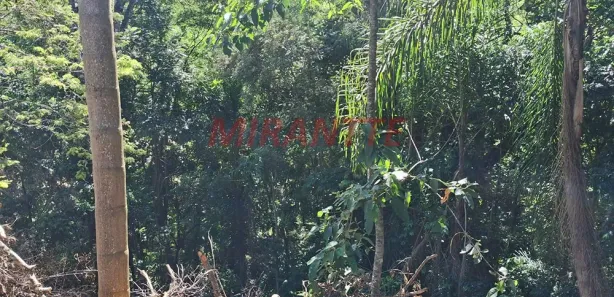 Terreno / Lote / Condomínio à venda, 1100m² no Roseira, Mairiporã