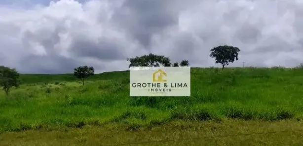 Fazenda / Sítio / Chácara com 8 Quartos à venda, 900m² no , Pedro Afonso
