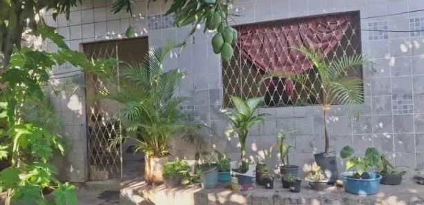 Casa com 3 Quartos à venda, 280m² no Jardim Maranguape, Paulista
