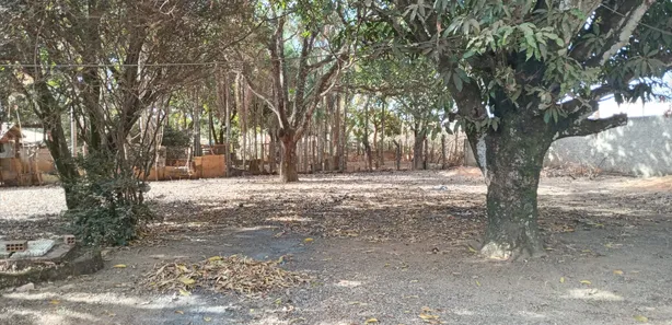Fazenda / Sítio / Chácara com 2 Quartos à venda, 5000m² no Setor Central, Padre Bernardo