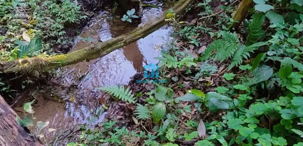 Fazenda / Sítio / Chácara à venda, 24000m² no Paiol de Baixo, Campina Grande do Sul