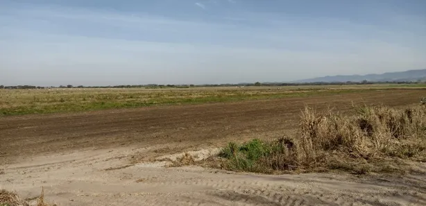 Fazenda / Sítio / Chácara à venda, 120m² no Vila Velha, Caçapava