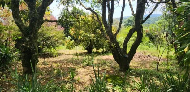 Fazenda / Sítio / Chácara com 2 Quartos à venda, 80m² no Ponunduva, Cajamar