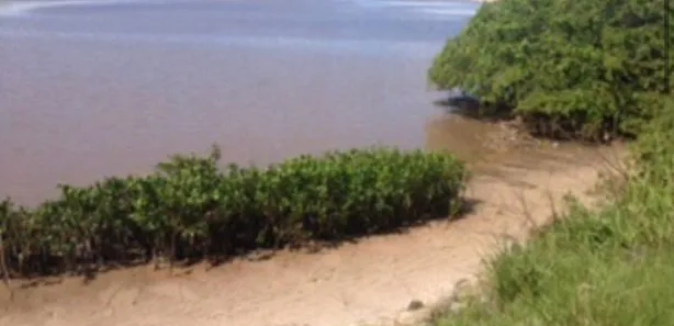 Terreno / Lote / Condomínio à venda, 3000m² no , Barra de Santo Antônio