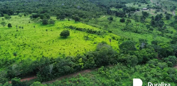 Fazenda / Sítio / Chácara à venda, 304m² no , Paraíso do Tocantins