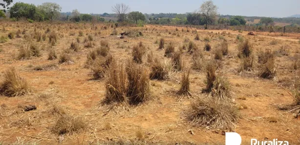 Fazenda / Sítio / Chácara à venda, 600m² no , Paraíso do Tocantins