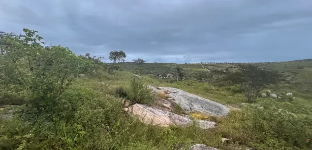 Fazenda / Sítio / Chácara à venda, 7200m² no , Sairé