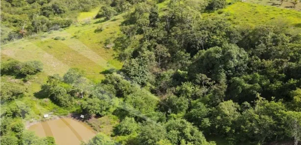 Fazenda / Sítio / Chácara com 4 Quartos à venda, 182m² no , Sairé