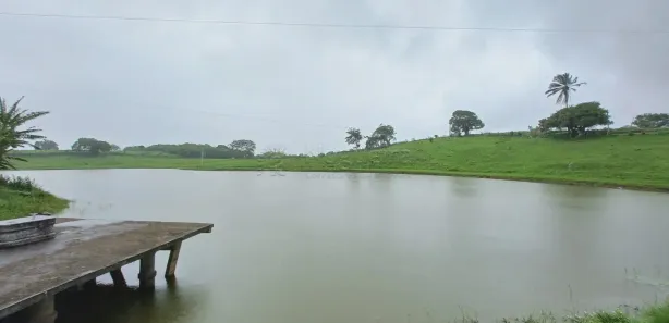 Fazenda / Sítio / Chácara com 11 Quartos à venda, 128519m² no , Pombos