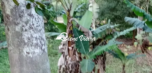 Terreno / Lote / Condomínio à venda, 1300m² no , Igaratá