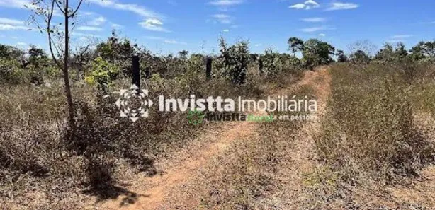 Fazenda / Sítio / Chácara com 1 Quarto à venda, 900m² no Centro, Pium
