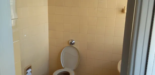 Loja / Salão / Ponto Comercial com 8 Quartos para venda ou aluguel, 190m² no Centro, Uberaba