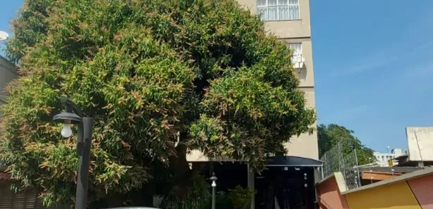 Apartamento com 2 Quartos para alugar, 93m² no Fonseca, Niterói