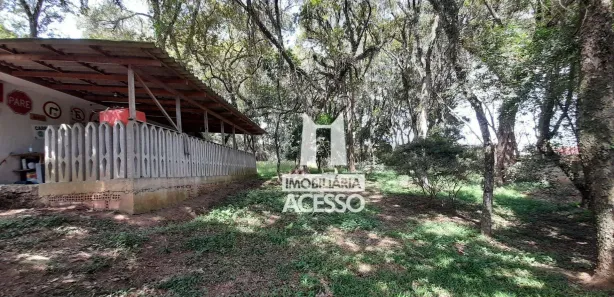Casa com 4 Quartos à venda, 290m² no Bom Jesus, Campo Largo