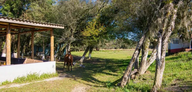 Fazenda / Sítio / Chácara à venda, 97075m² no Weissópolis, Pinhais