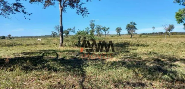 Fazenda / Sítio / Chácara à venda, 7647200m² no Centro, Cristalândia