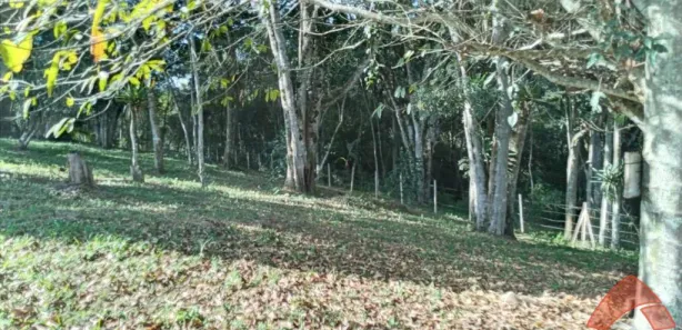 Terreno / Lote / Condomínio à venda, 2888m² no , São Lourenço da Serra