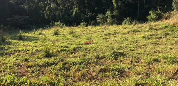 Fazenda / Sítio / Chácara com 1 Quarto à venda, 5121m² no Área Rural de Viçosa, Viçosa