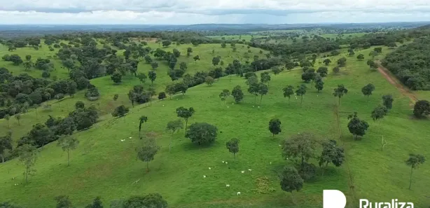 Fazenda / Sítio / Chácara à venda, 91m² no , Guaraí