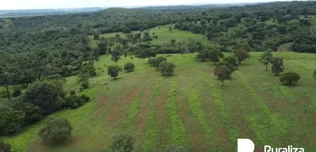 Fazenda / Sítio / Chácara à venda, 300m² no , Guaraí
