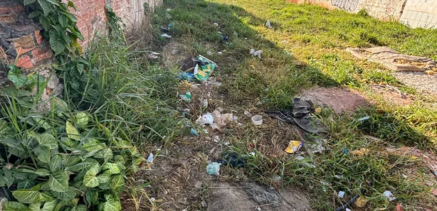 Terreno / Lote Comercial para alugar, 480m² no Paloma, Colombo
