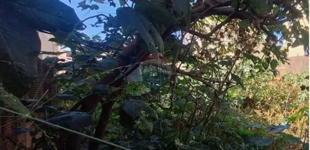 Terreno / Lote / Condomínio à venda, 200m² no Gávea, Vespasiano