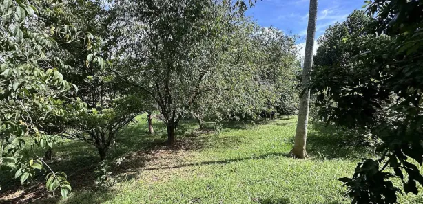 Terreno / Lote / Condomínio à venda, 1000m² no , Mairinque