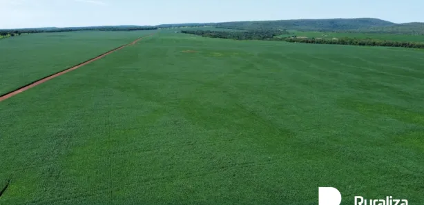 Fazenda / Sítio / Chácara à venda, 706m² no , Paraíso do Tocantins