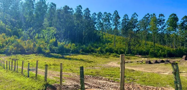 Fazenda / Sítio / Chácara com 4 Quartos à venda, 1000m² no , Alumínio