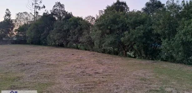 Terreno / Lote / Condomínio para alugar, 1863m² no Campo Largo da Roseira, São José dos Pinhais