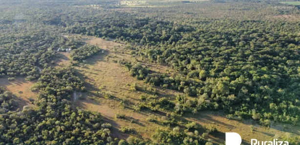 Fazenda / Sítio / Chácara à venda, 590m² no , Pium