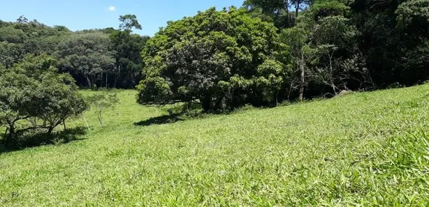 Fazenda / Sítio / Chácara à venda, 133100m² no , Vargem Grande Paulista