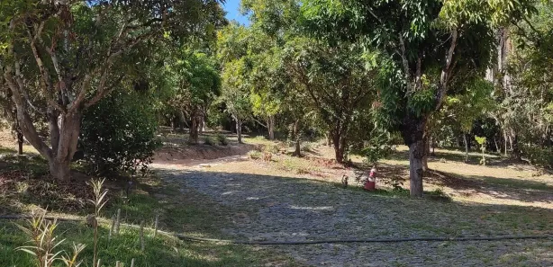 Fazenda / Sítio / Chácara com 5 Quartos à venda, 33000m² no Pinhões, Santa Luzia