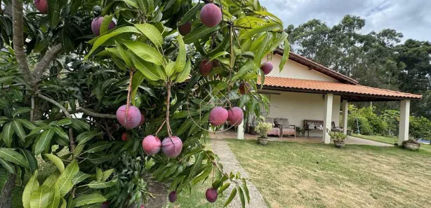 Fazenda / Sítio / Chácara com 3 Quartos à venda, 1000m² no , Mairinque