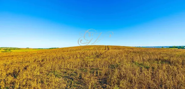 Fazenda / Sítio / Chácara com 1 Quarto à venda, 456017m² no Centro, Ponta Grossa