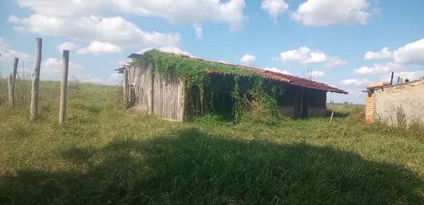 Fazenda / Sítio / Chácara à venda, 10m² no Centro, Águas de São Pedro