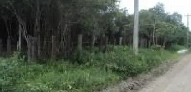 Fazenda / Sítio / Chácara à venda, 14000m² no Gaivota, Itanhaém