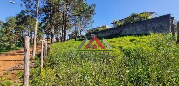 Terreno / Lote / Condomínio à venda, 216m² no Cidade Edson, Suzano