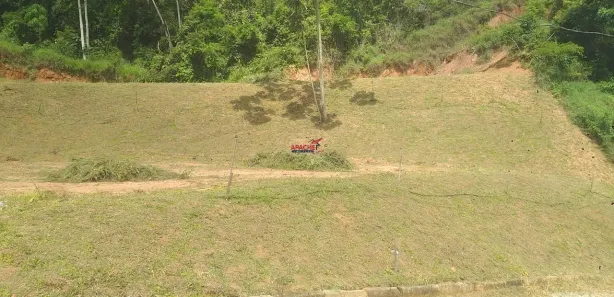Fazenda / Sítio / Chácara com 1 Quarto à venda, 5000m² no Área Rural de Viçosa, Viçosa