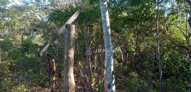 Fazenda / Sítio / Chácara à venda, 1190278m² no Jardim Brasilia I, Ponte Alta do Tocantins