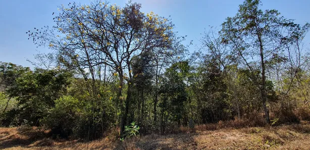 Terreno / Lote / Condomínio à venda, 20000m² no Centro, Fortuna de Minas