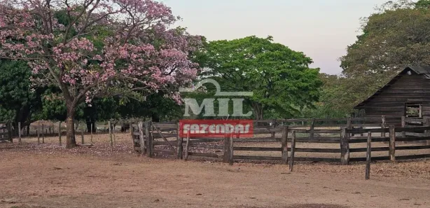 Fazenda / Sítio / Chácara à venda, 500m² no , Rio Sono