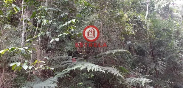 Terreno / Lote / Condomínio à venda, 1510m² no Recreio Eldorado do Vale, Santa Branca