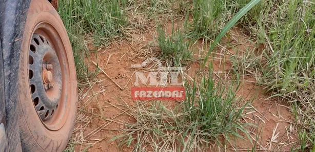 Fazenda / Sítio / Chácara à venda, 500m² no , Pium