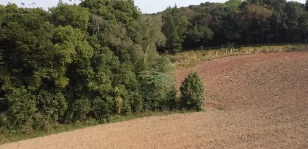 Fazenda / Sítio / Chácara com 1 Quarto à venda, 12312m² no Botiatuva, Campo Largo