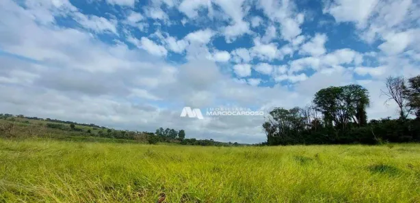 Fazenda / Sítio / Chácara com 1 Quarto à venda, 101156m² no Área Rural de Olímpia, Olímpia