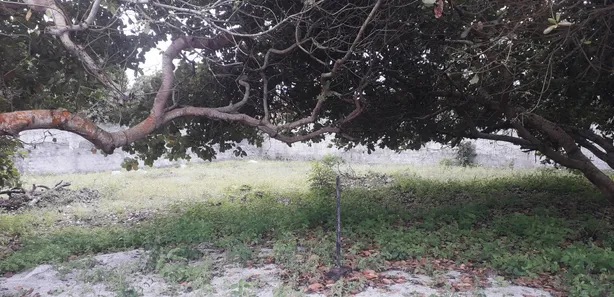 Terreno / Lote / Condomínio à venda, 972m² no Monte Gordo (Monte Gordo), Camaçari