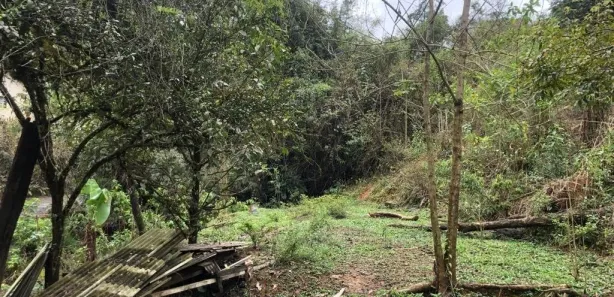 Terreno / Lote / Condomínio à venda, 17438m² no Colônia Santo Antônio, Barra Mansa
