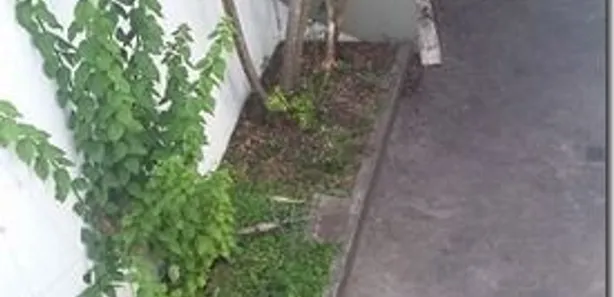 Galpão / Depósito / Armazém à venda, 650m² no Bosque da Saúde, São Paulo