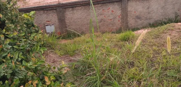Terreno / Lote / Condomínio à venda, 218m² no Setor Habitacional Vicente Pires - Trecho 3, Brasília